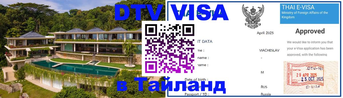 Оформление DTV визы под ключ: стоимость и тарифы, только загранпаспорт - 